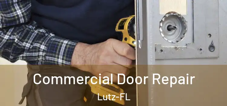  Commercial Door Repair Lutz-FL