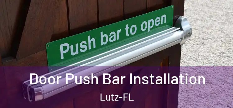  Door Push Bar Installation Lutz-FL