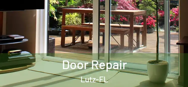  Door Repair Lutz-FL