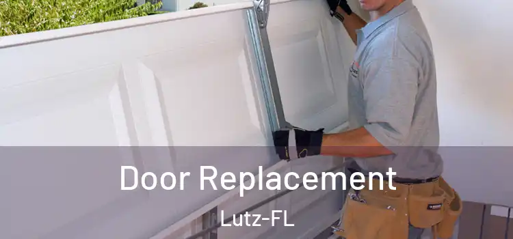  Door Replacement Lutz-FL