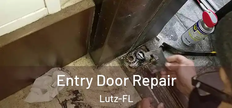 Entry Door Repair Lutz-FL