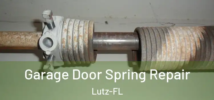  Garage Door Spring Repair Lutz-FL