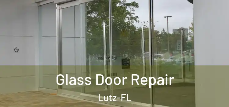  Glass Door Repair Lutz-FL