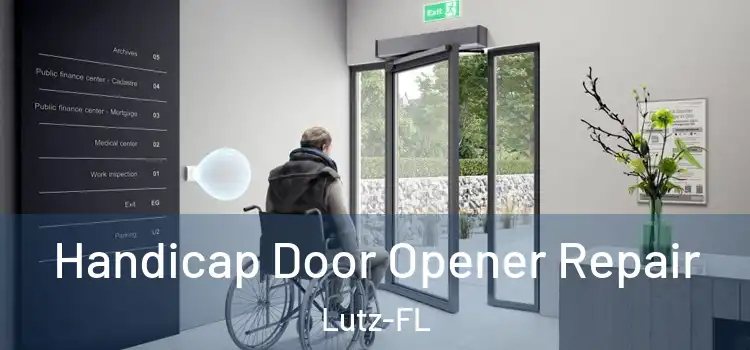  Handicap Door Opener Repair Lutz-FL