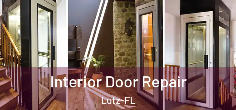  Interior Door Repair Lutz-FL