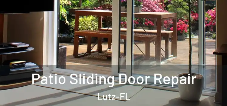  Patio Sliding Door Repair Lutz-FL