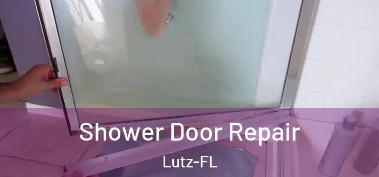  Shower Door Repair Lutz-FL