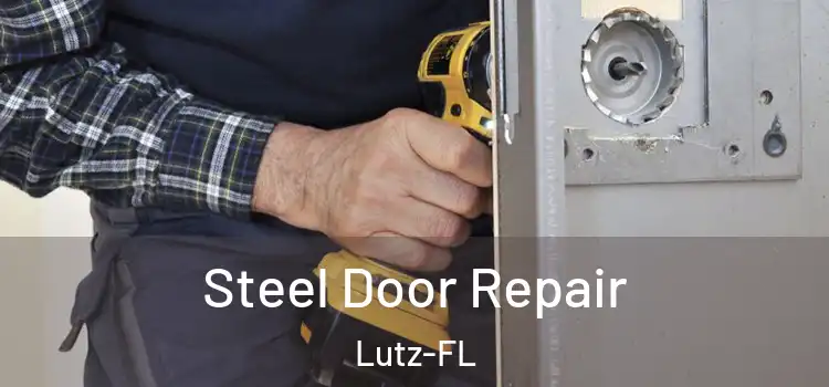  Steel Door Repair Lutz-FL