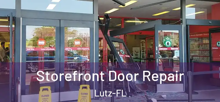  Storefront Door Repair Lutz-FL